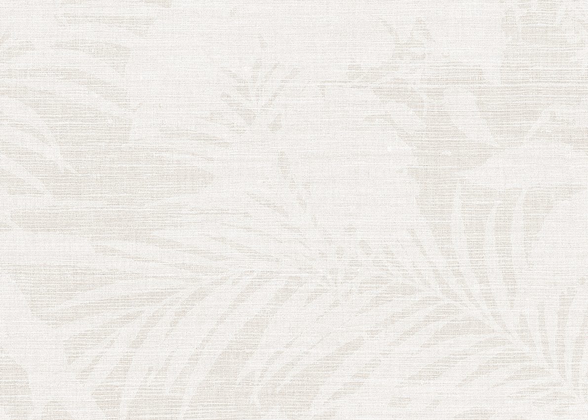 Ammazonia — Ivory