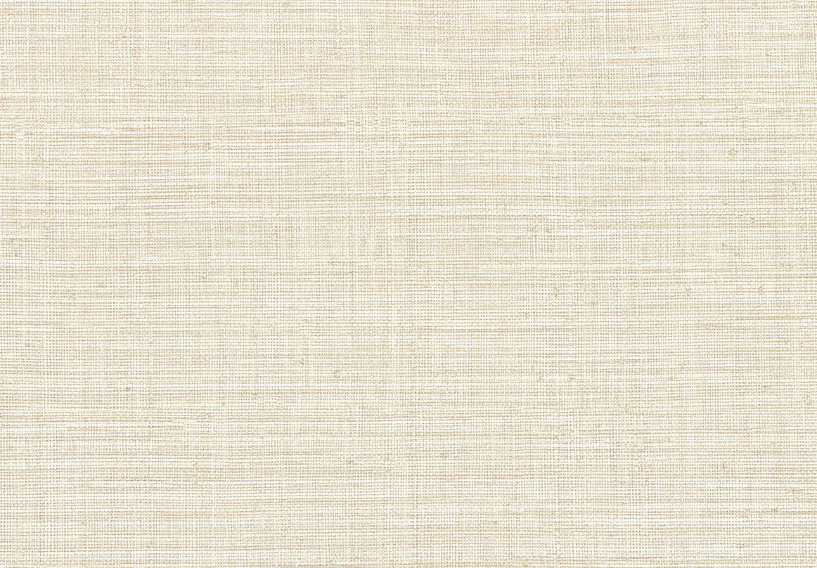 Ammazonia — Linen
