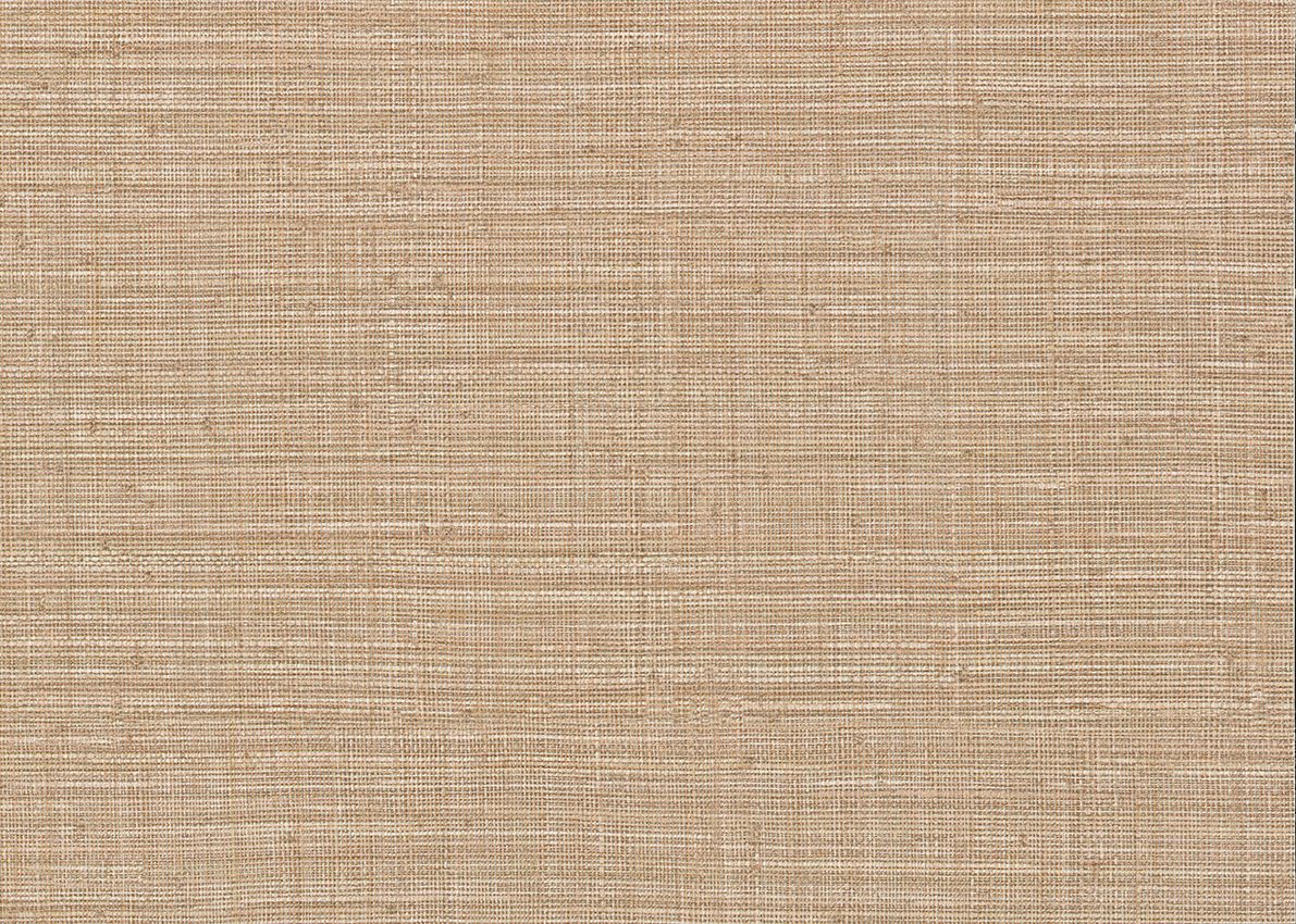 Ammazonia — Beige