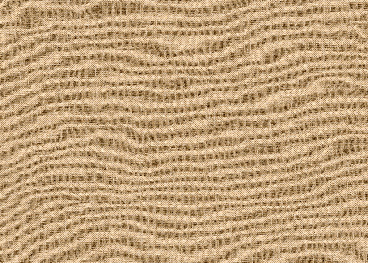 Missoni 06 — Camel