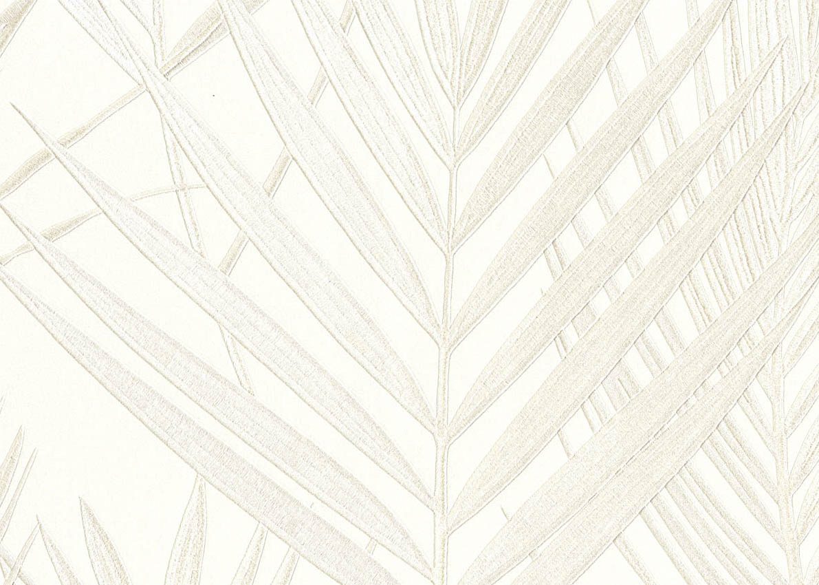 Evolution — Ivory