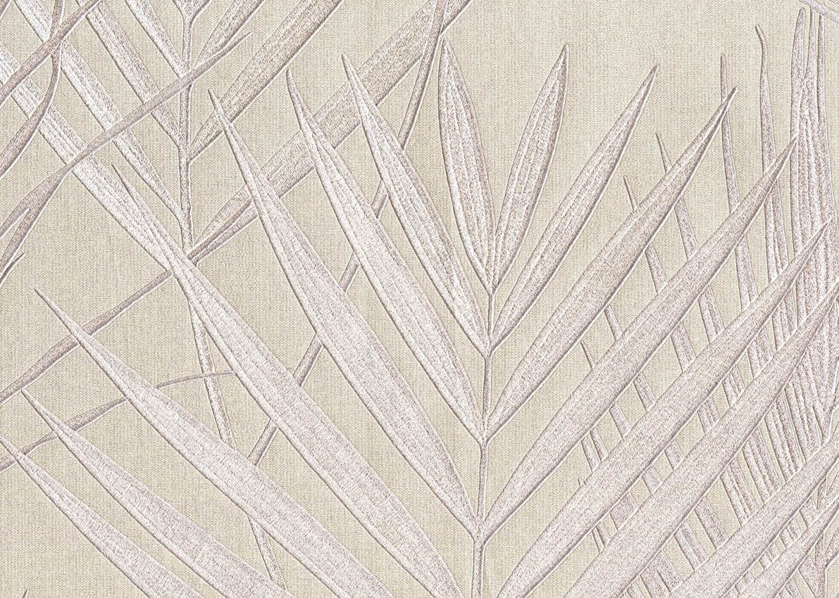 Evolution — Dove