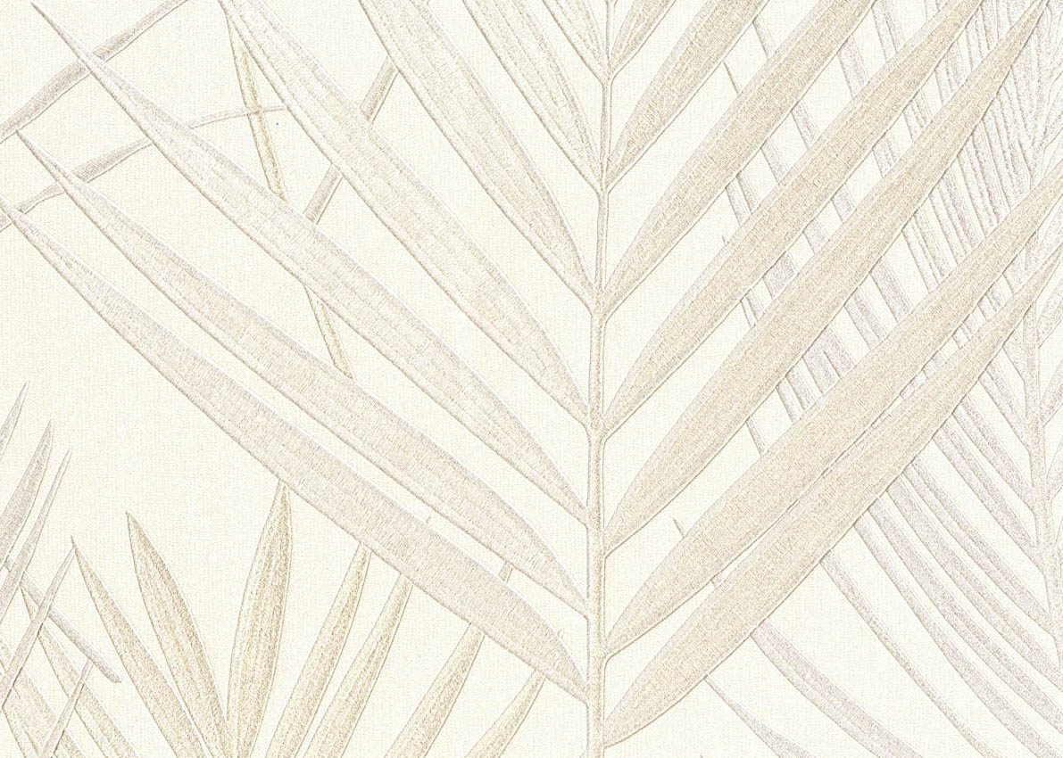 Evolution — Ivory