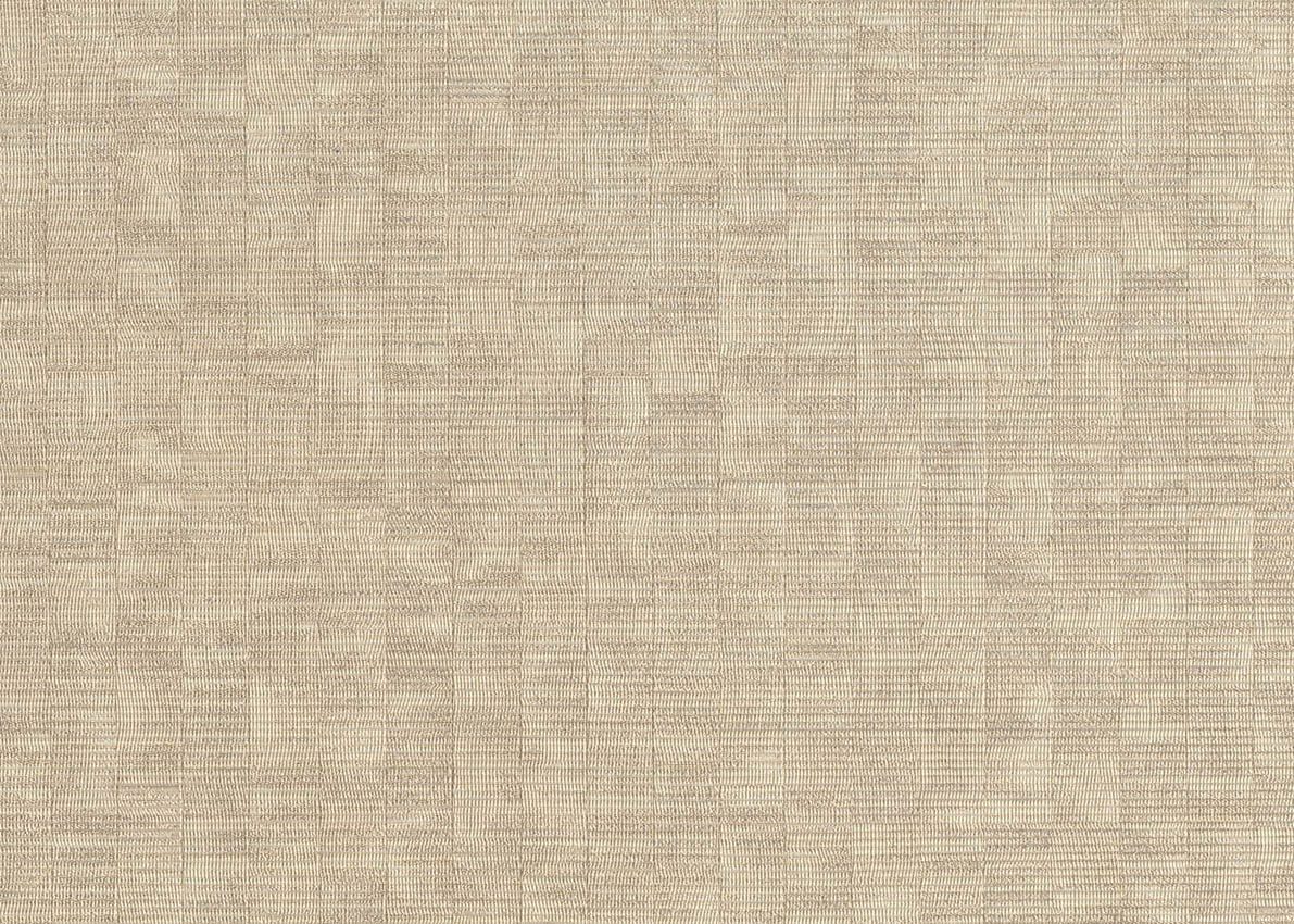 Evolution — Beige