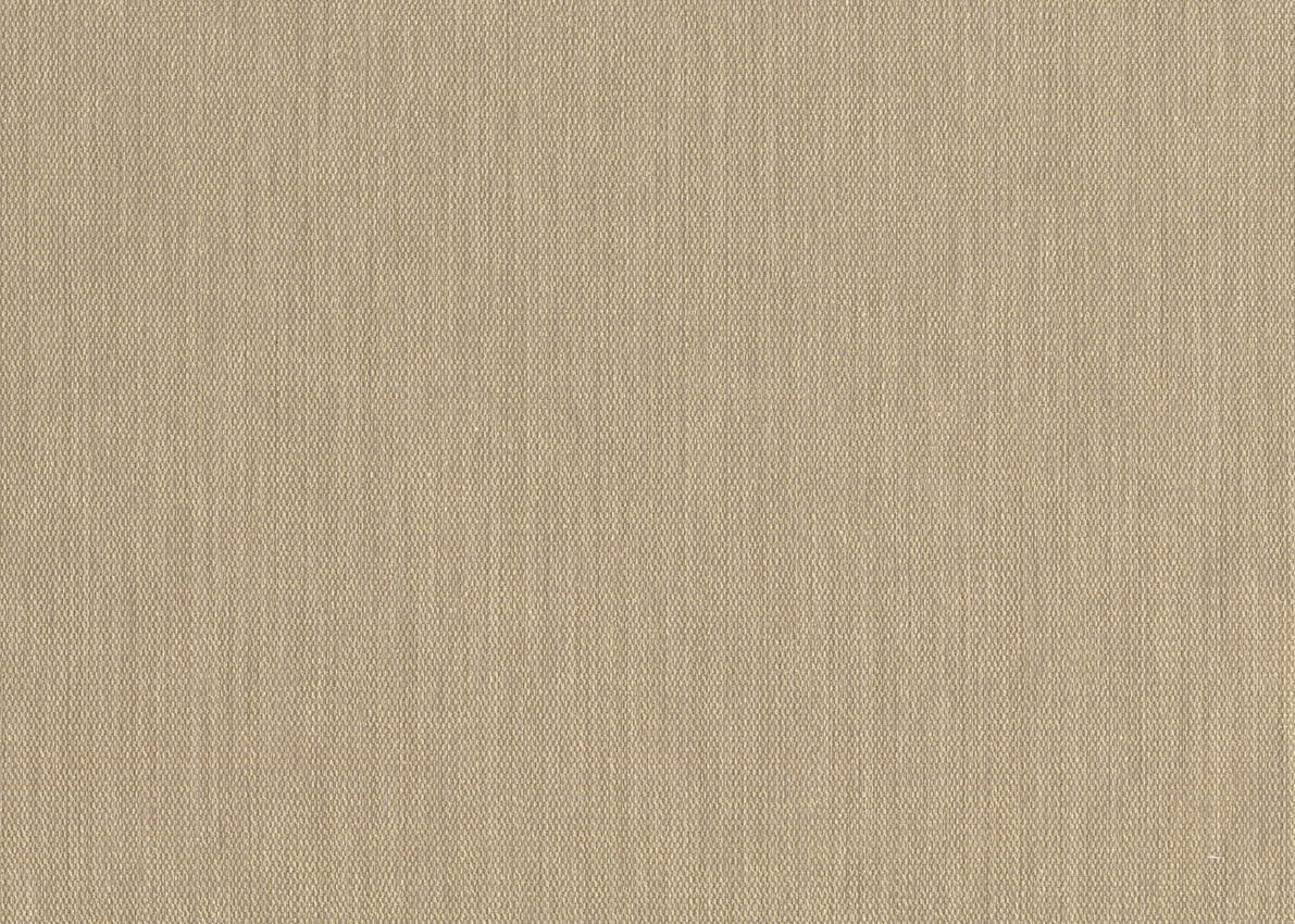 Evolution — Beige