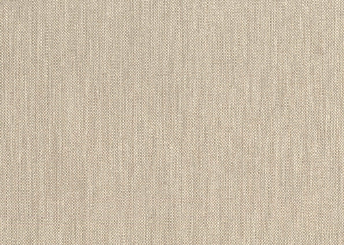 Evolution — Beige