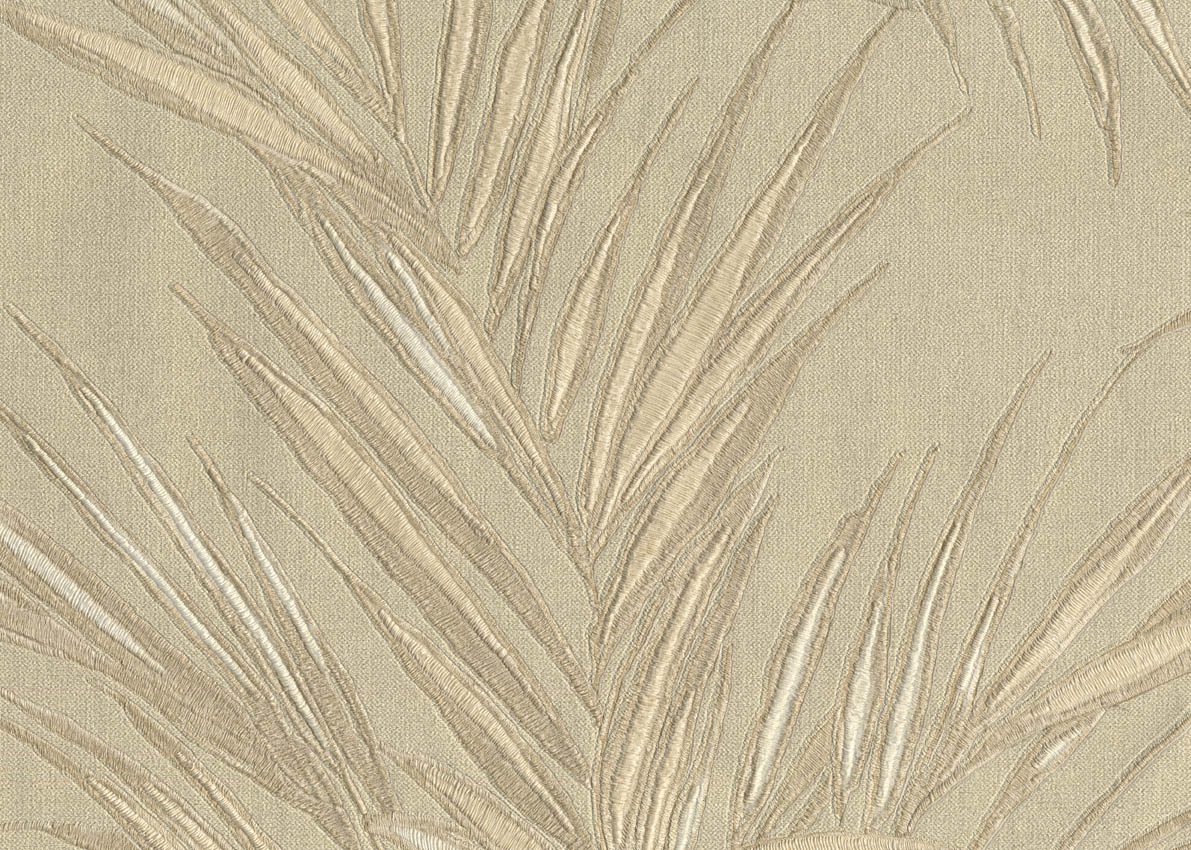 Evolution — Beige