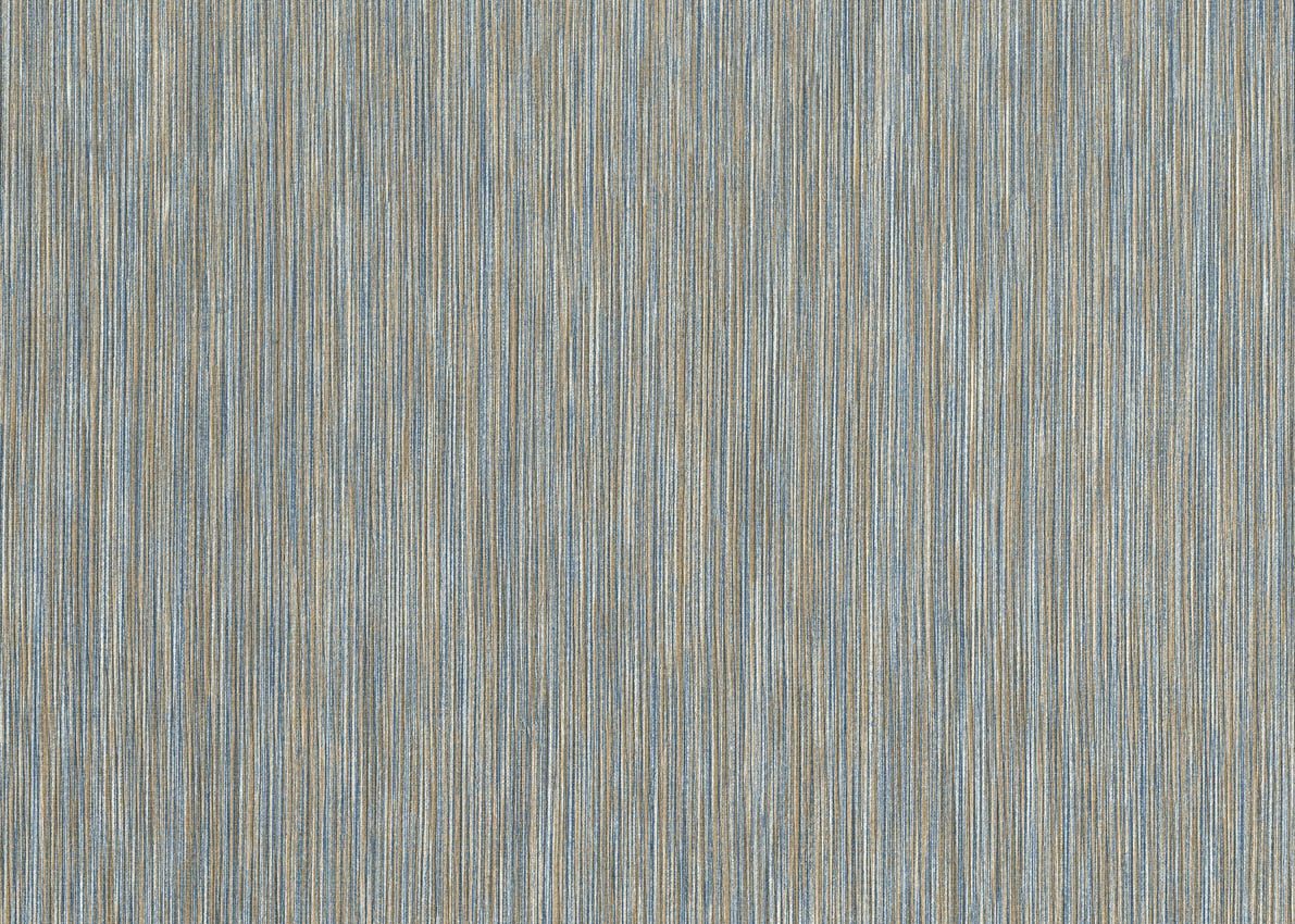 Evolution — Grey