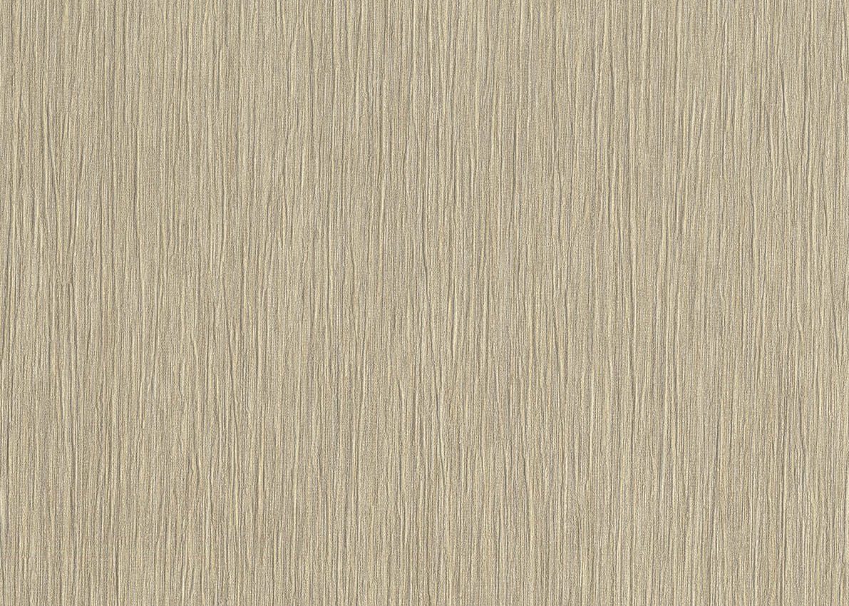 Evolution — Beige