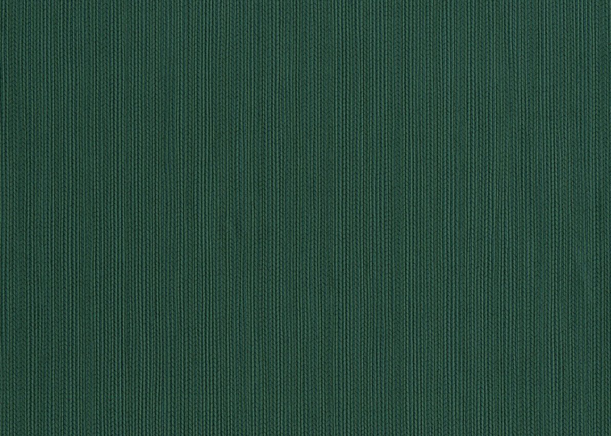 Home 3 — Forest