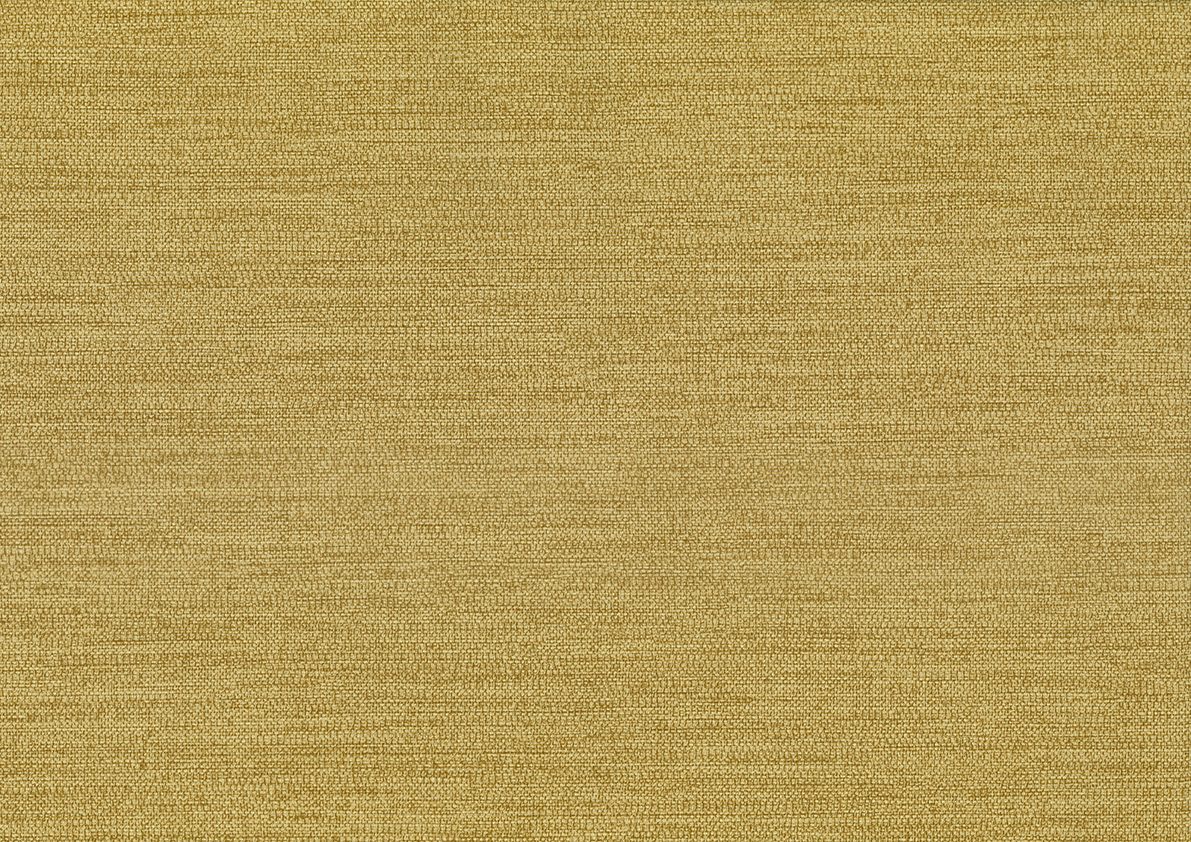 Fibers — Camel