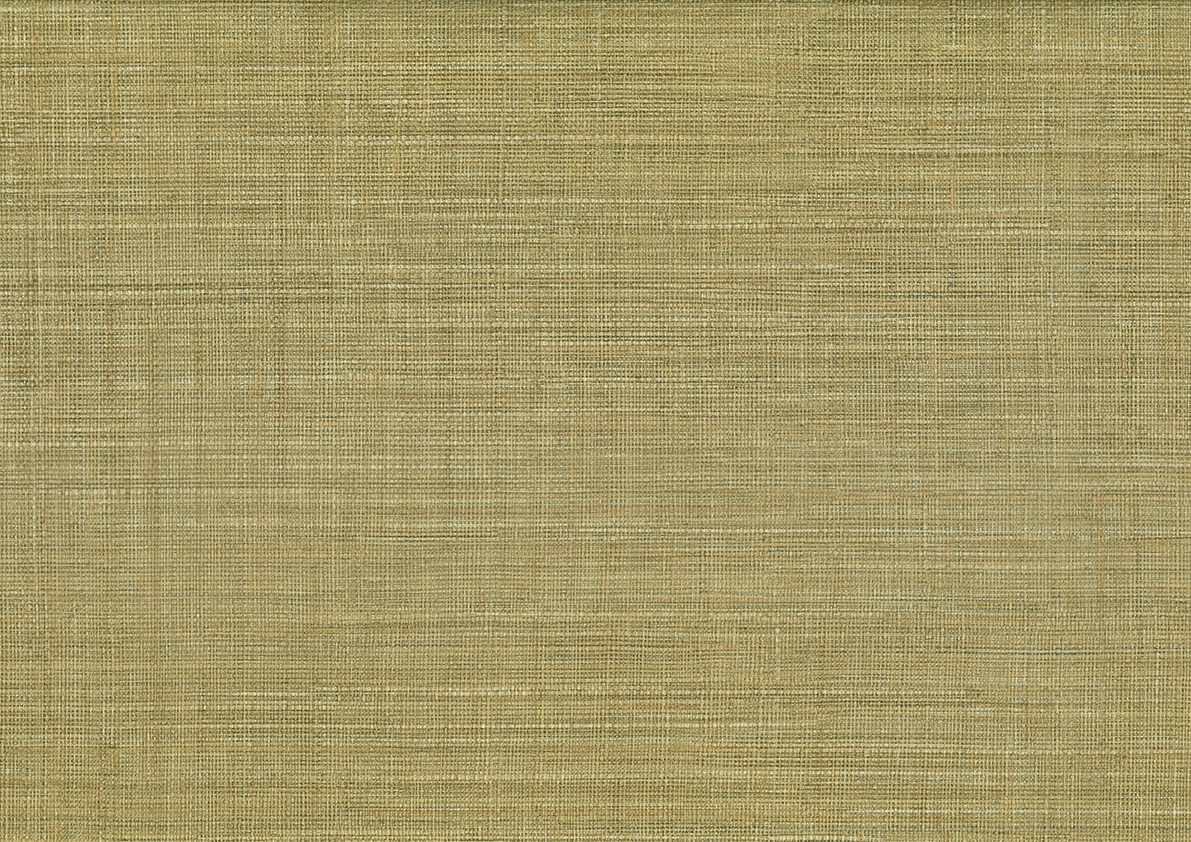 Fibers — Camel