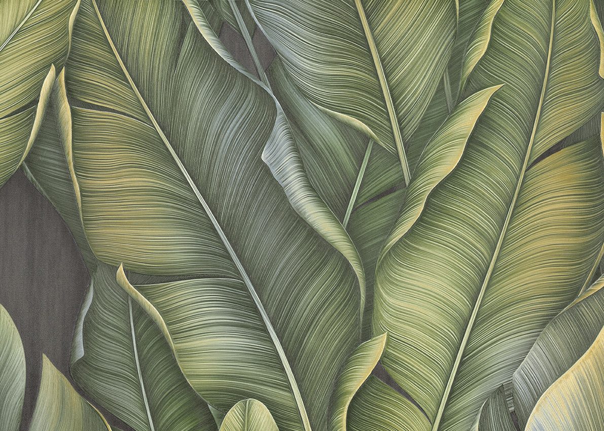Shade — Olive