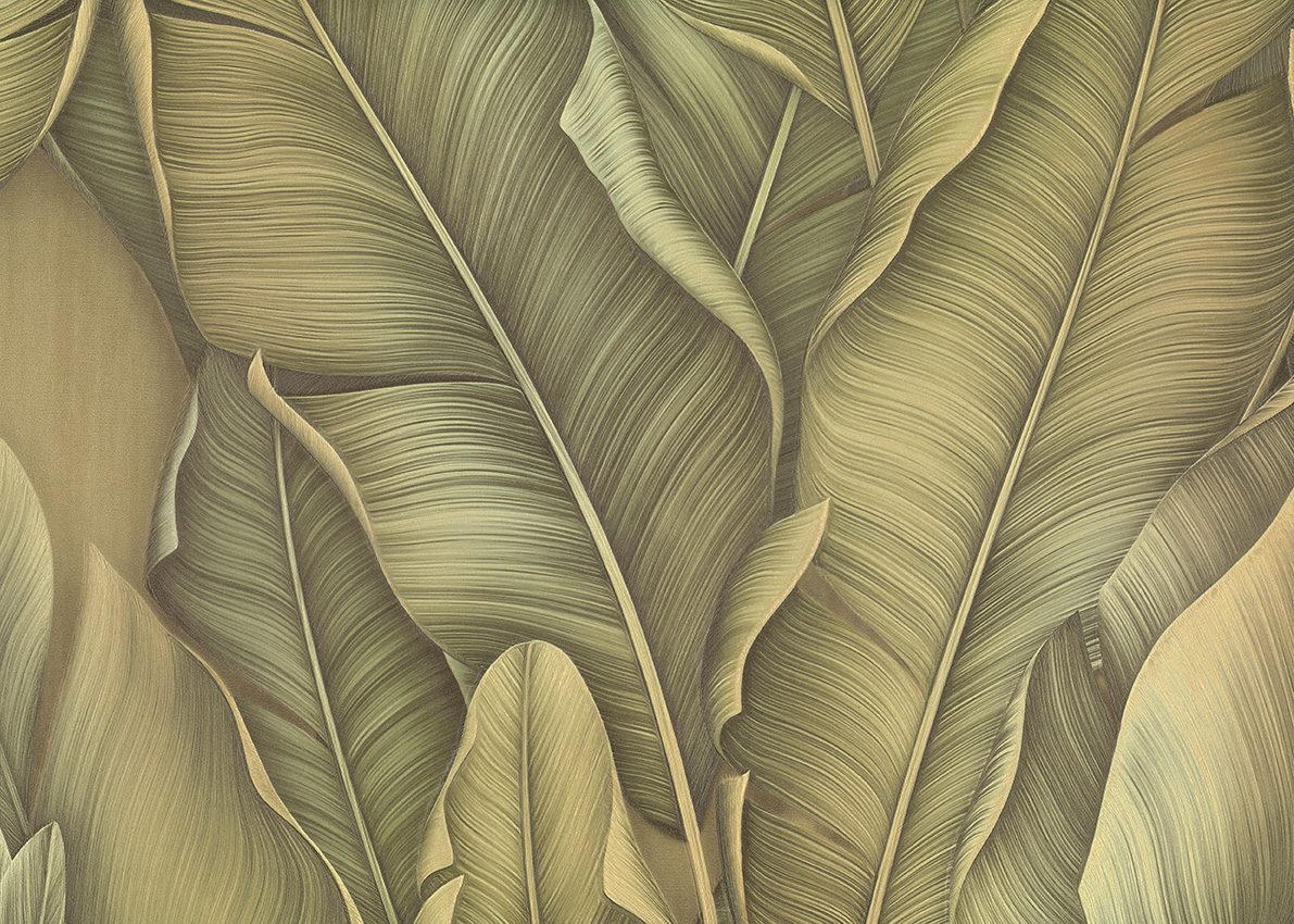 Shade — Olive