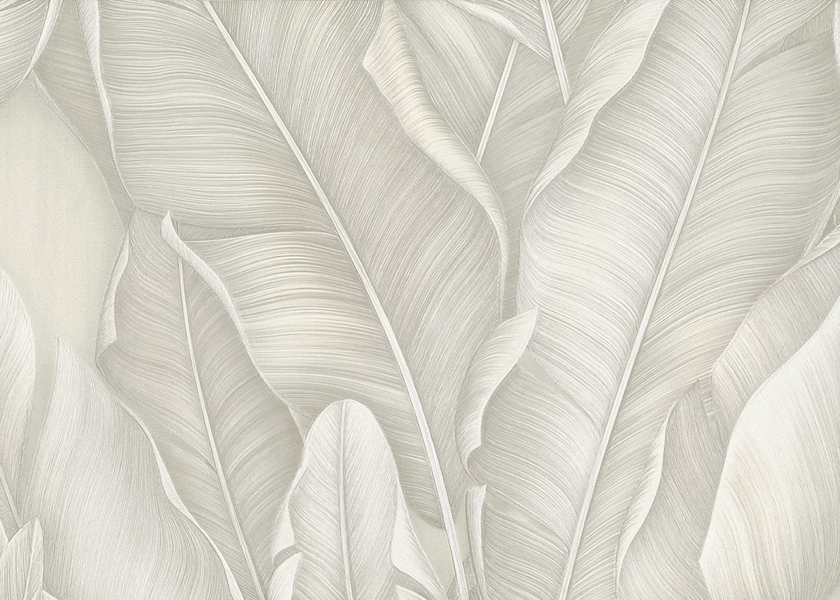 Shade — Dove