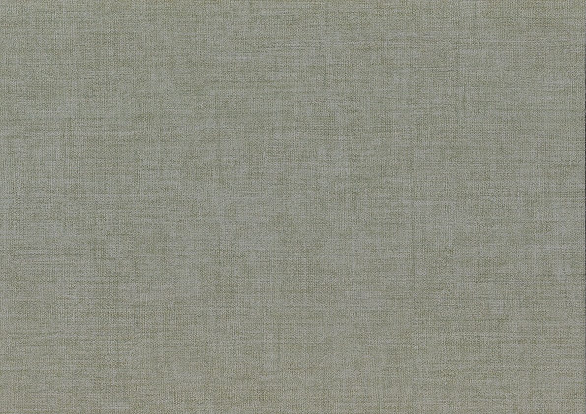 Zen — Eucalyptus