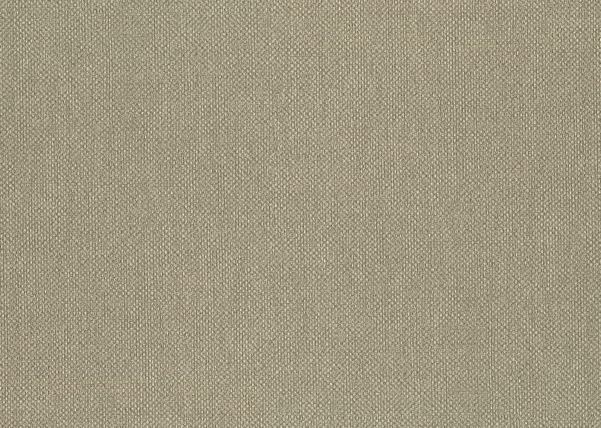 Ammazonia — Taupe