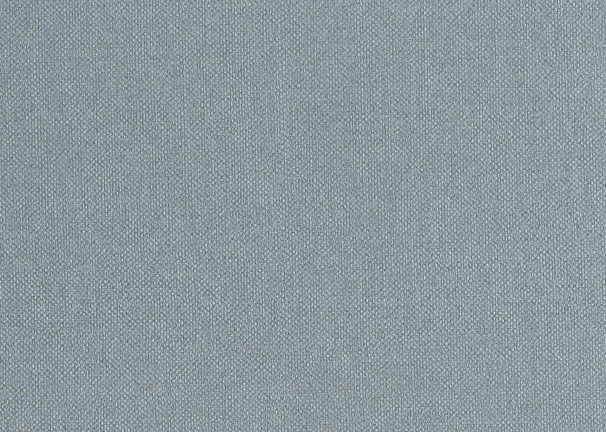 Ammazonia — Grey
