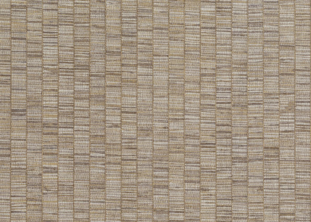 Ammazonia — Taupe