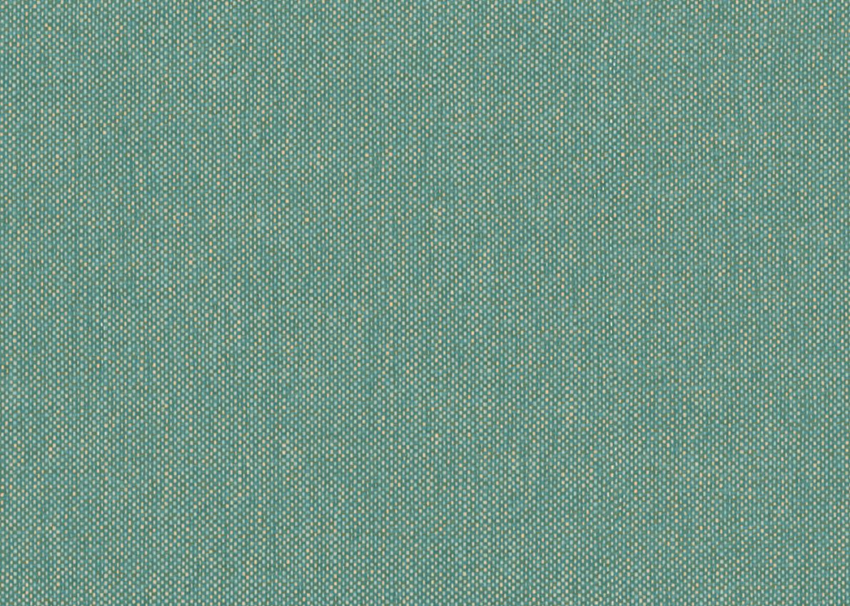 Grande Corniche — Eucalyptus