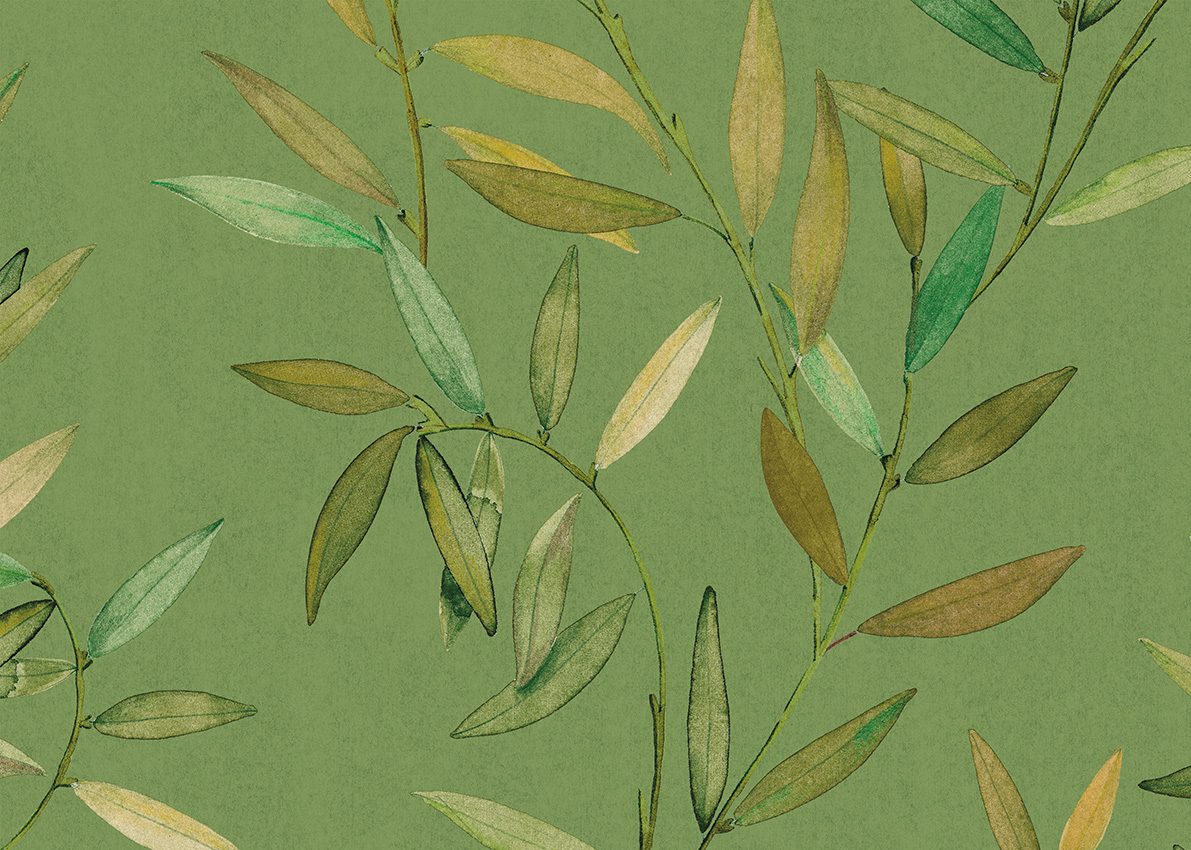 Grande Corniche — Moss