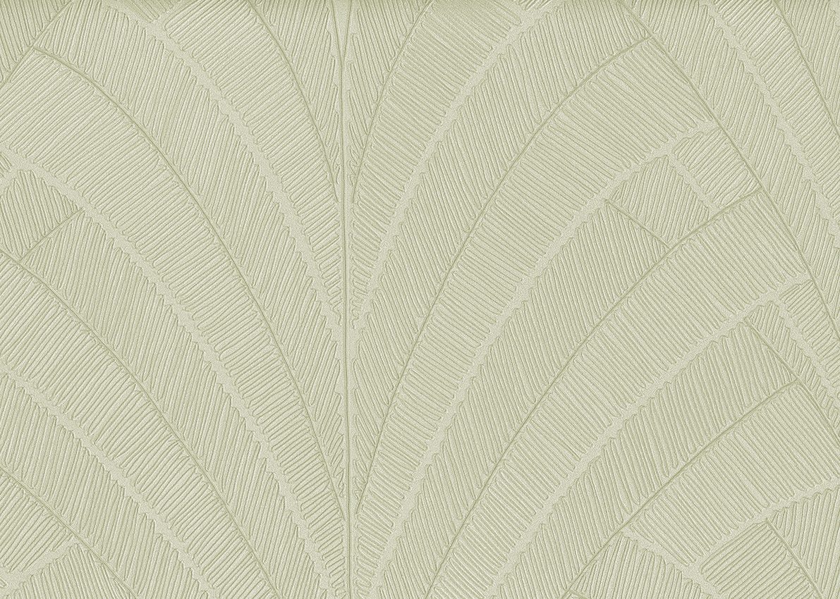 Penelope — Oatmeal
