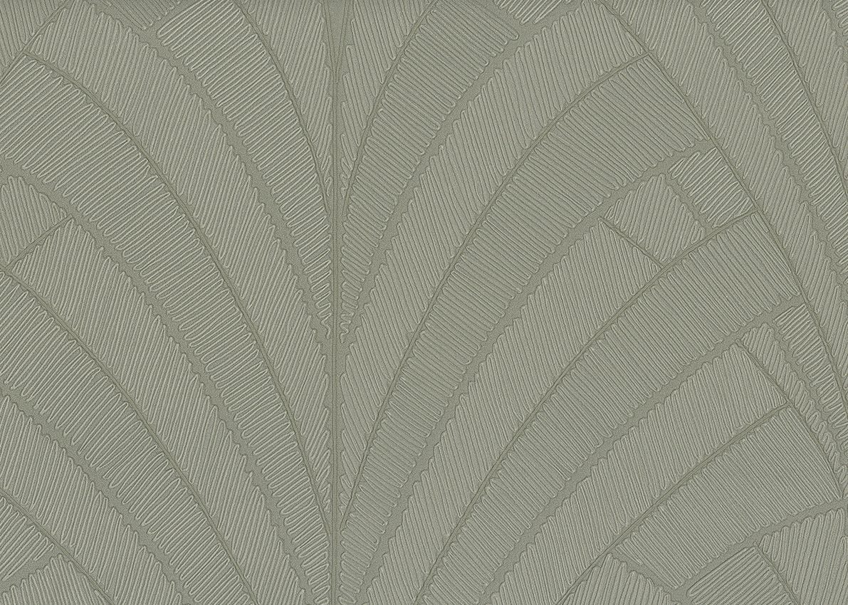 Penelope — Eucalyptus